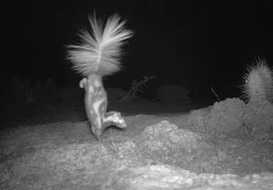 Image post by @nationalparkservice on Instagram