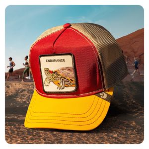 Image post by @goorinbros on Instagram