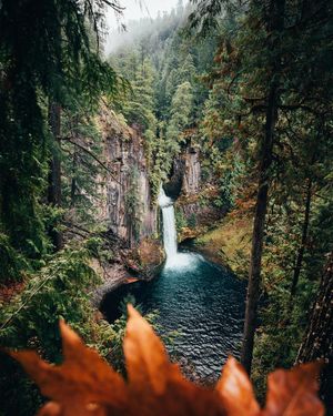 Image post by @slatertrout on Instagram