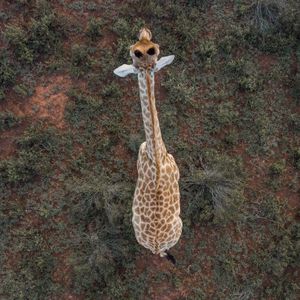 Image post by @discovery on Instagram