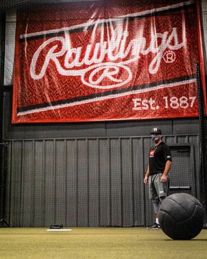 Image post by @rawlingstigers on Instagram