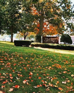Image post by @olivetnazarene on Instagram
