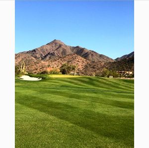 Image post by @grassclippings.club on Instagram