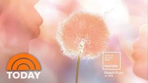 Video post by @today on YouTube