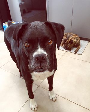 Image post by @kylecoopah on Instagram