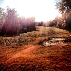 Image post by @trevorlasso on Instagram