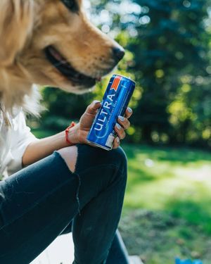 Image post by @alejandrotakesphotoss on Instagram