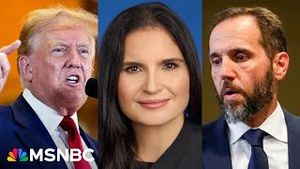 Video post by @msnbc on YouTube