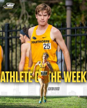 Image post by @gopetrels on Instagram