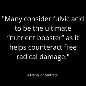 Image post by @mytracewellness on Instagram