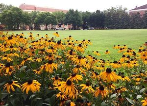 Image post by @officialsouthernmiss on Instagram