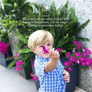 Image post by @pinkstork on Instagram