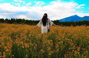 Image post by @nauflagstaff on Instagram