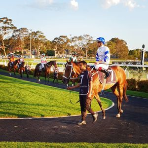 Image post by @australianturfclub on Instagram