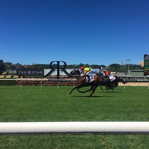 Image post by @australianturfclub on Instagram