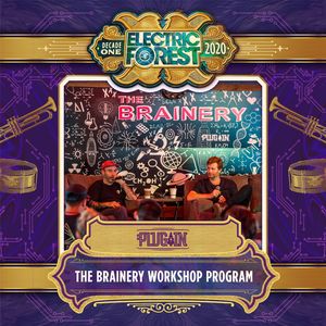 Image post by @electric_forest on Instagram