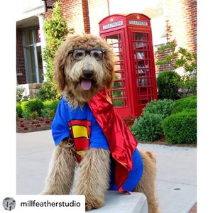 Image post by @williamjewellcollege on Instagram