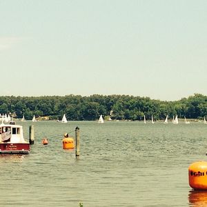 Image post by @yalesailing on Instagram