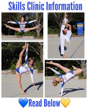 Image post by @hofstradanceteam on Instagram