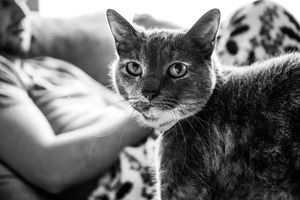 Image post by @nicolezaayerphotography on Instagram