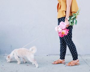 Image post by @zofeeagenota on Instagram