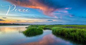 Image post by @kiawahresort on Instagram