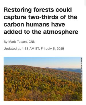 Image post by @cnnclimate on Instagram