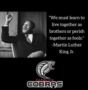 Image post by @carcobras on Instagram