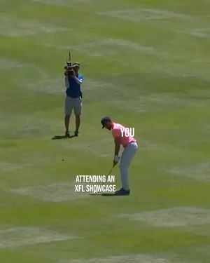 Image post by @uflvipers on Instagram