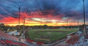 Image post by @flaglerbaseball on Instagram