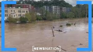 Video post by @newsnation on YouTube