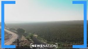 Video post by @newsnation on YouTube
