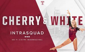Image post by @templegymnastics on Instagram