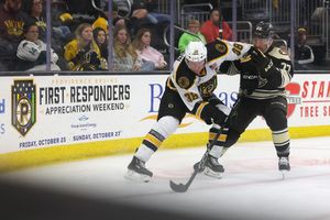 Image post by @ahlbruins on Instagram