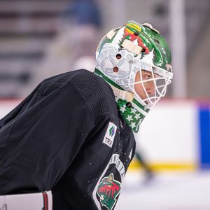 Image post by @minnesotawild on Instagram