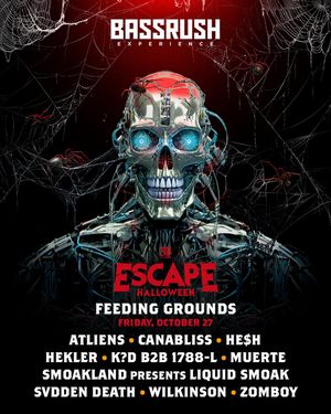 Image post by @bassrush on Instagram