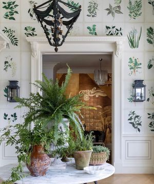 Image post by @palomacontrerasdesign on Instagram