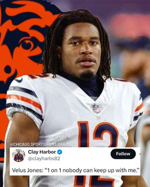 Image post by @chicago.sports.fans.daily on Instagram