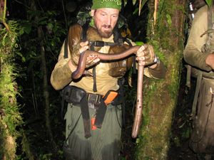 Image post by @Discovery on Twitter