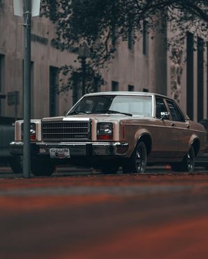 Image post by @tielerfriedline on Instagram