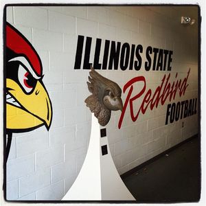 Image post by @isuredbirds on Instagram
