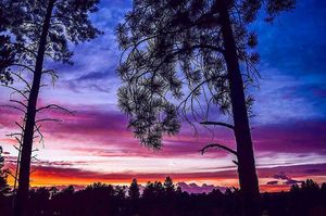 Image post by @nauflagstaff on Instagram