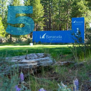 Image post by @barracudachampionship on Instagram