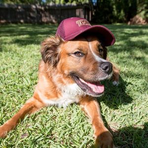 Image post by @txst on Instagram