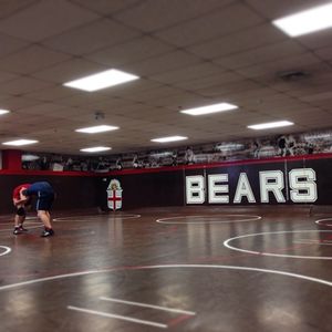 Image post by @brownu_wrestle on Instagram