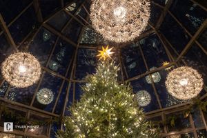 Image post by @dailycollegian on Instagram