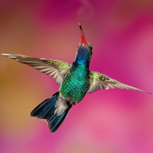 Image post by @discovery on Instagram