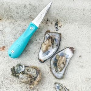 Image post by @toadfishoutfitters on Instagram