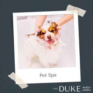 Image post by @TheDukeMetrocenter on Facebook