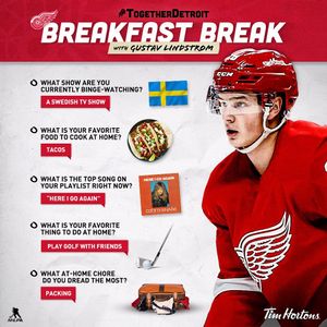 Image post by @detroitredwings on Instagram